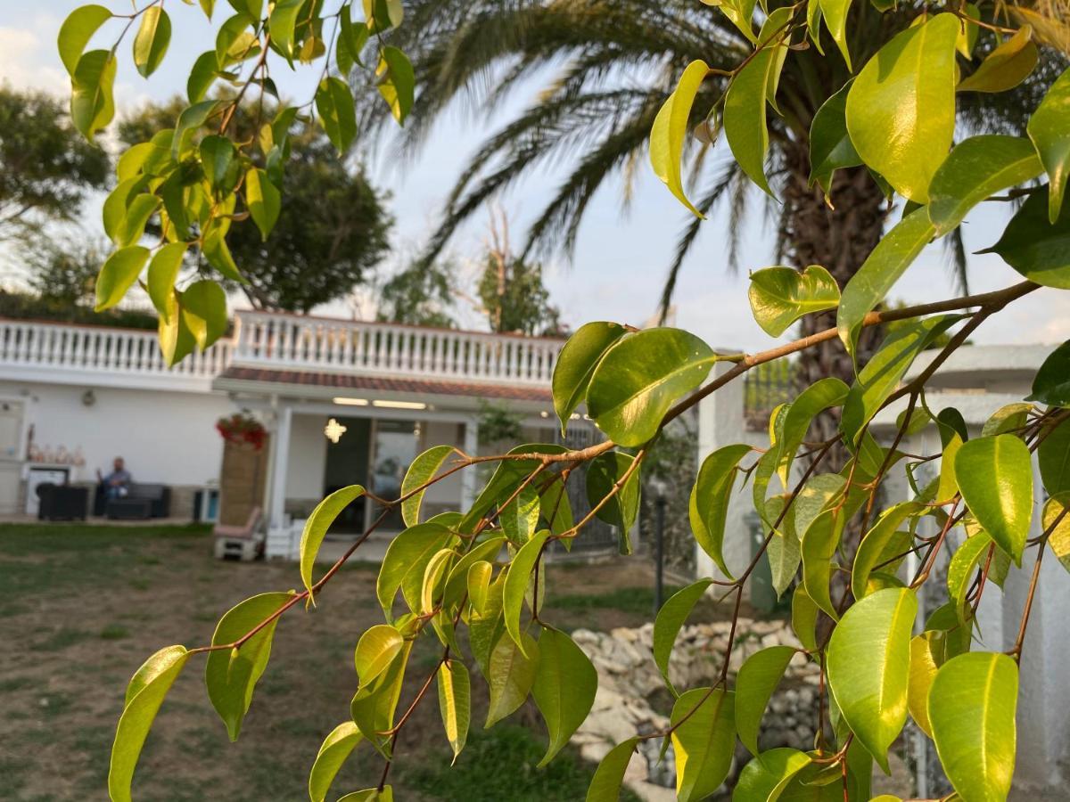 Mazzitelli Apartment Capo Vaticano Exterior photo